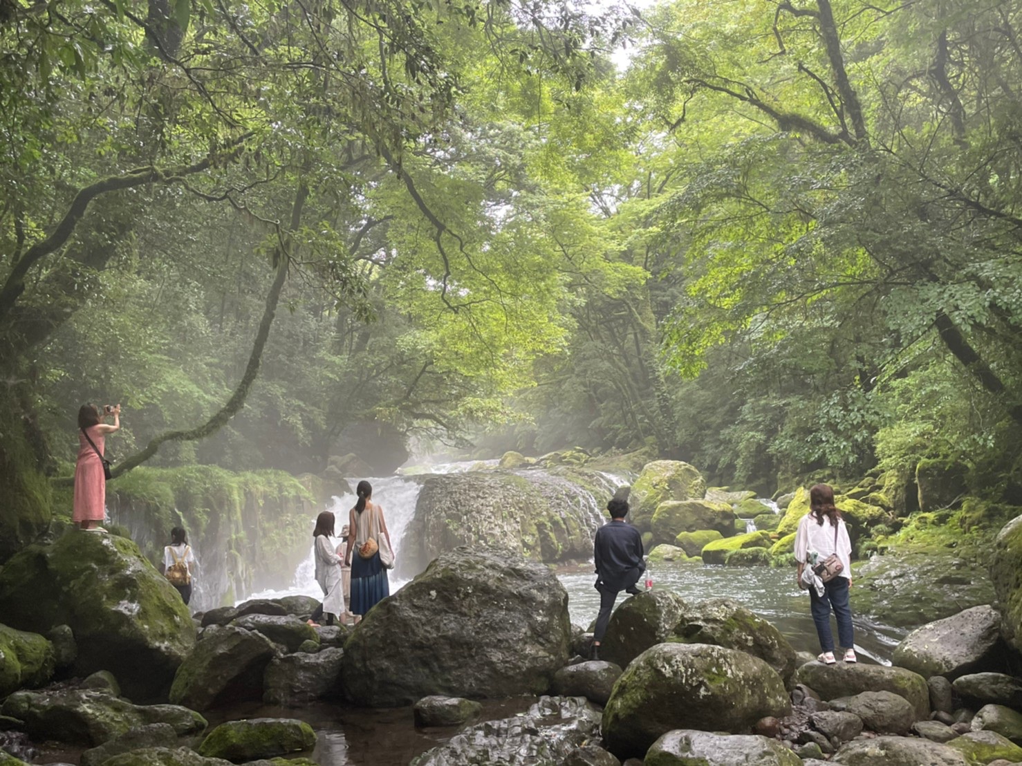 People spending quiet time beside a forest stream